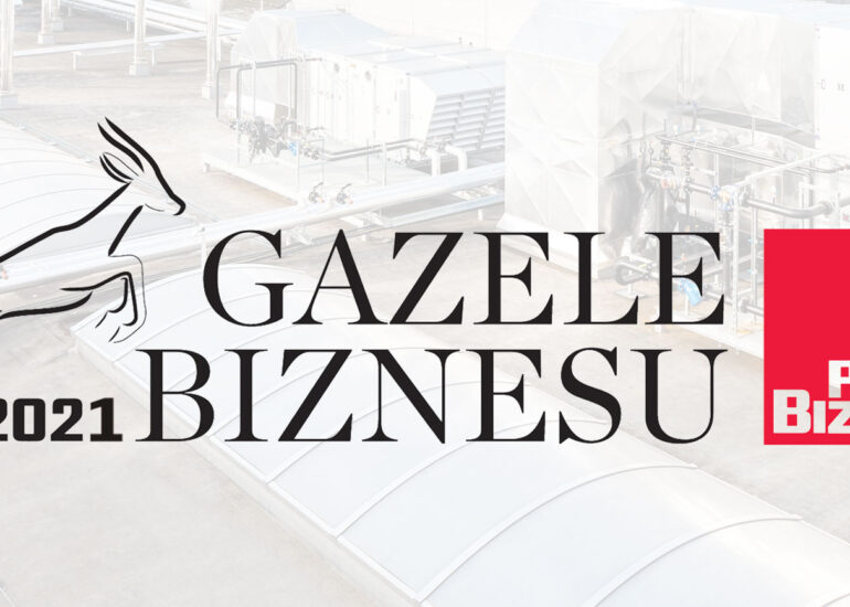 gazele biznesu 2021 ranking