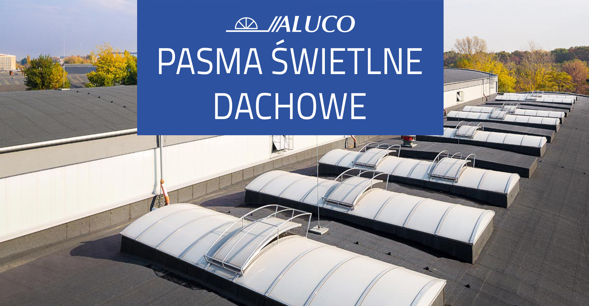 Pasma świetlne dachowe