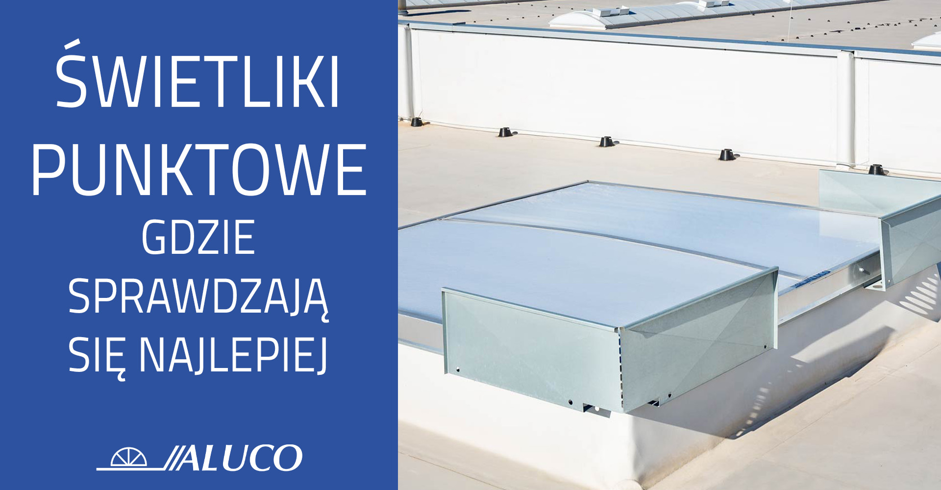 Świetliki punktowe