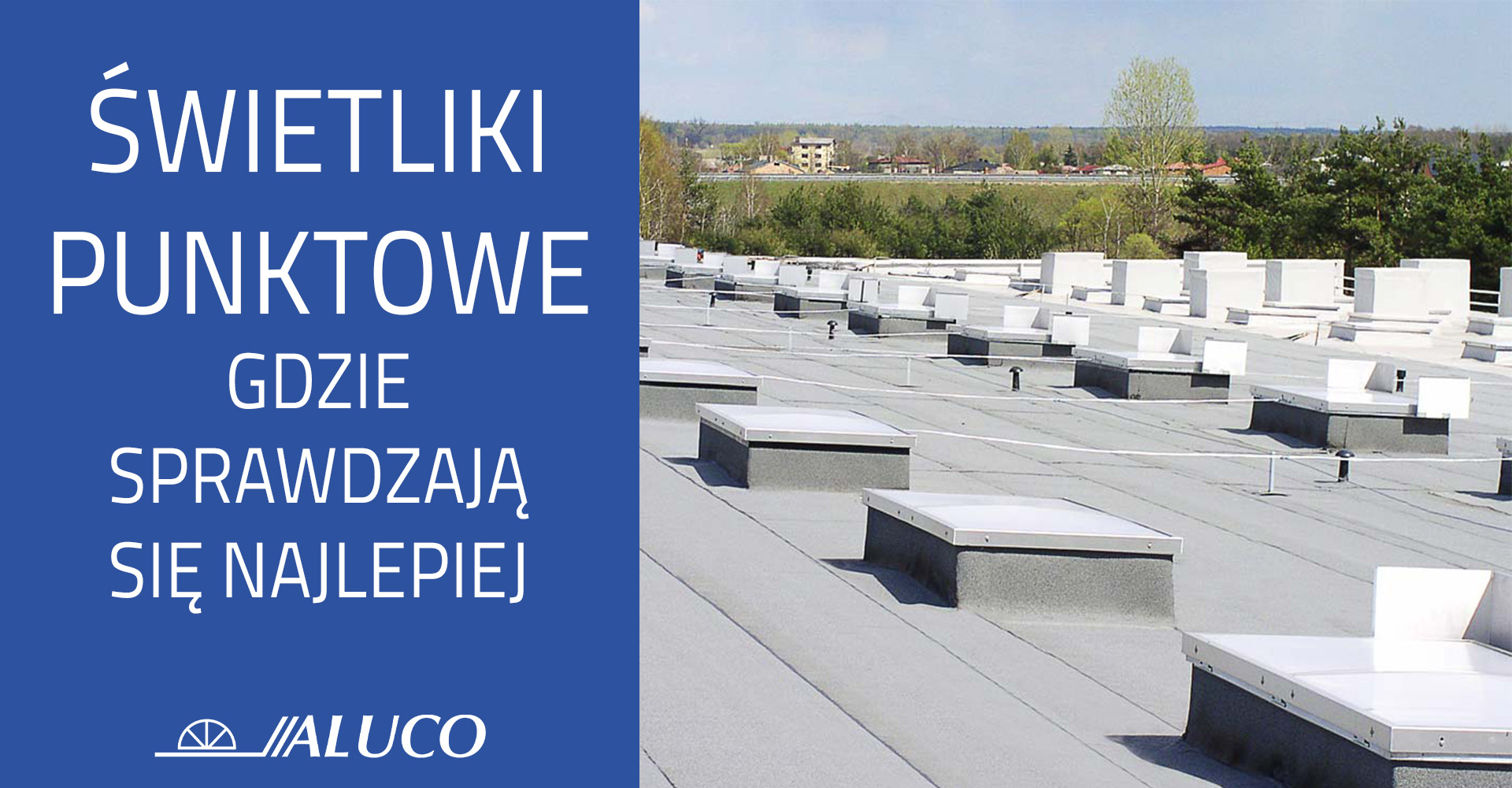 Świetliki punktowe